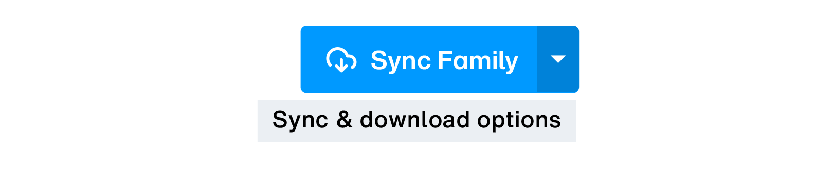 Sync fonts