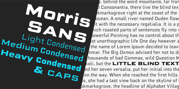 Morris Sans®