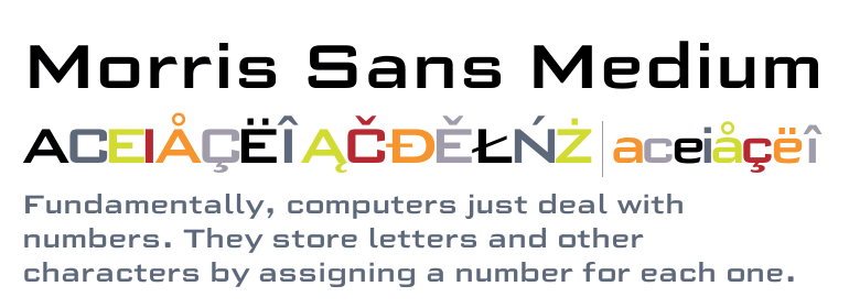 Morris Sans®